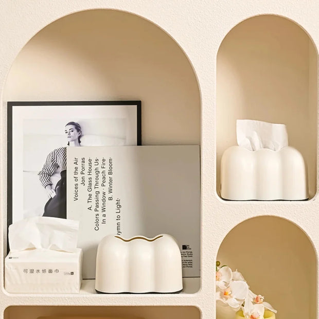 Wall mounted cloud tissue box