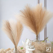 BloomAura™ Pampas Grass