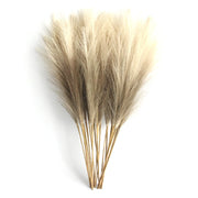 BloomAura™ Pampas Grass