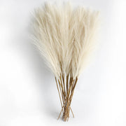 BloomAura™ Pampas Grass