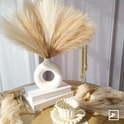 BloomAura™ Pampas Grass