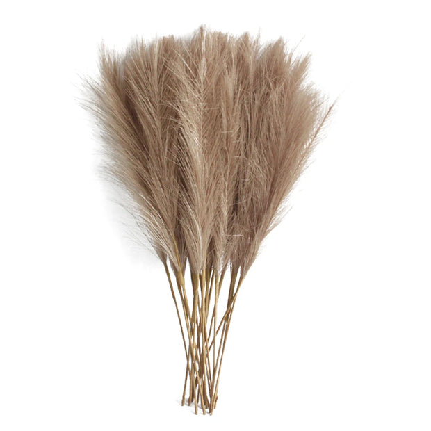 BloomAura™ Pampas Grass